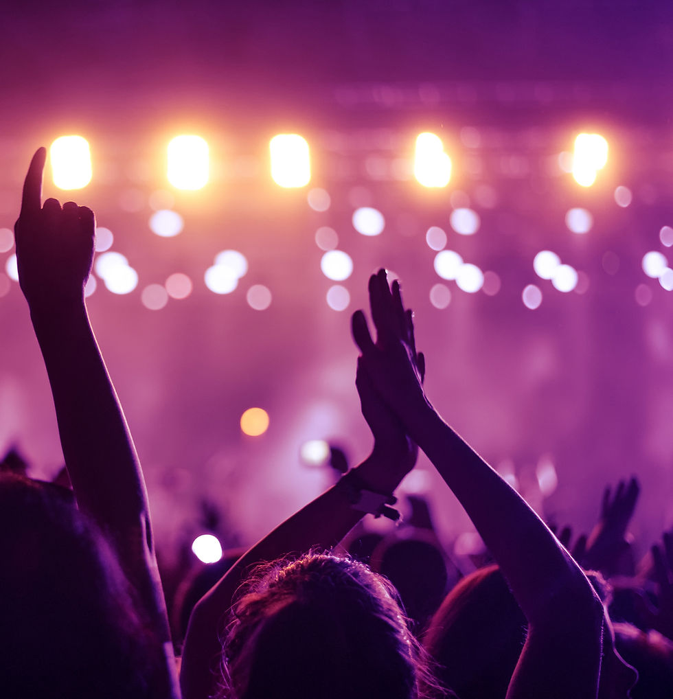 Fans at concert