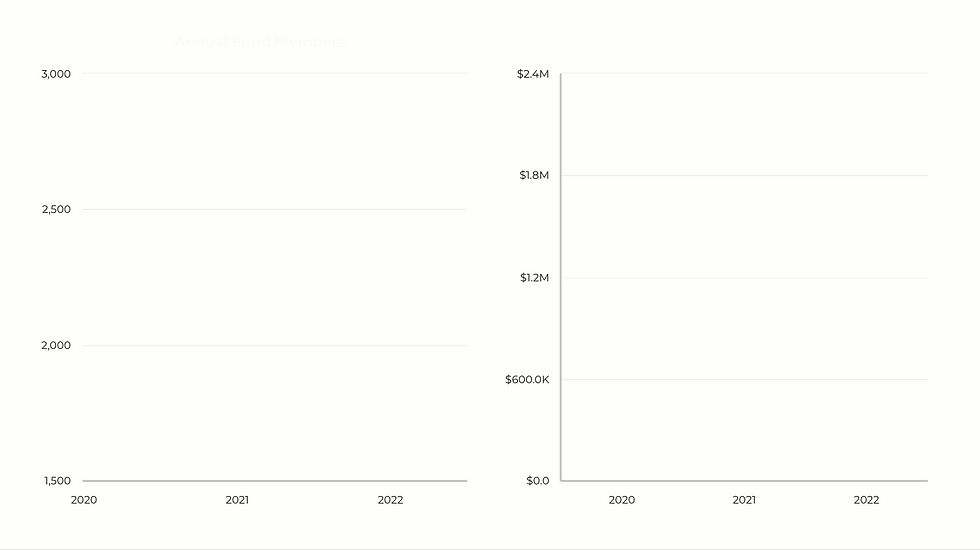 Graphs of Annual Fund growth 2020-2022